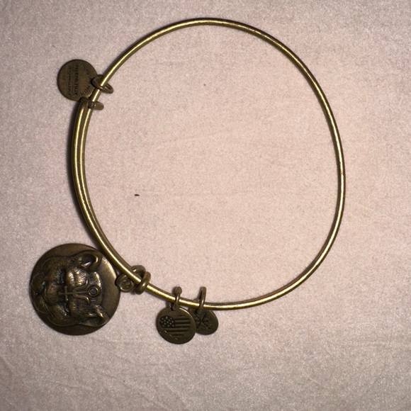 Alex & Ani Bracelet - Picture 1 of 2